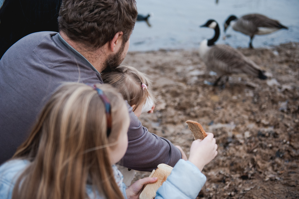 ВЕЧЕР У ОЗЕРА