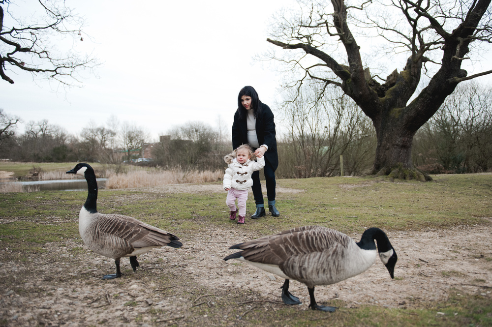 ВЕЧЕР У ОЗЕРА