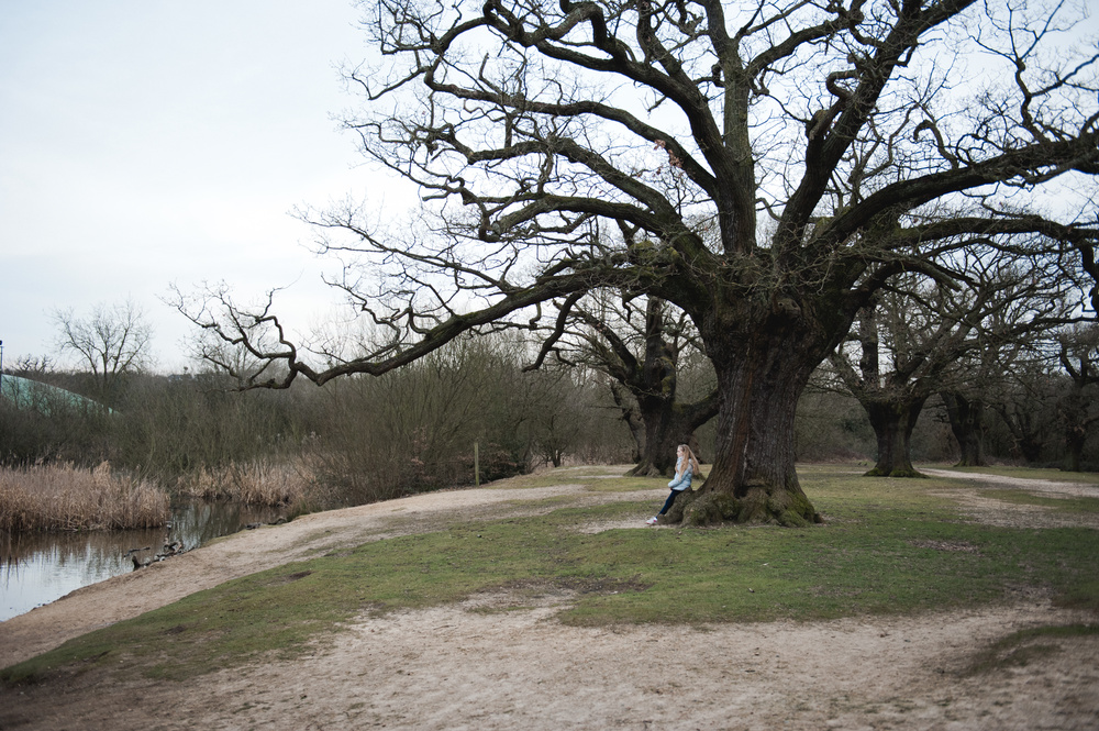 ВЕЧЕР У ОЗЕРА