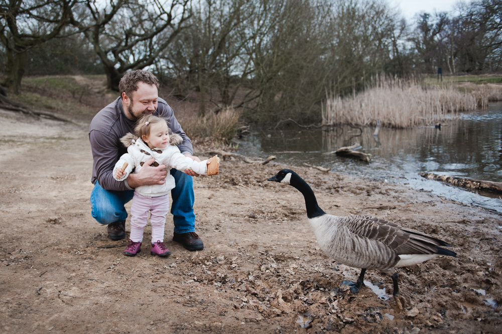 ВЕЧЕР У ОЗЕРА