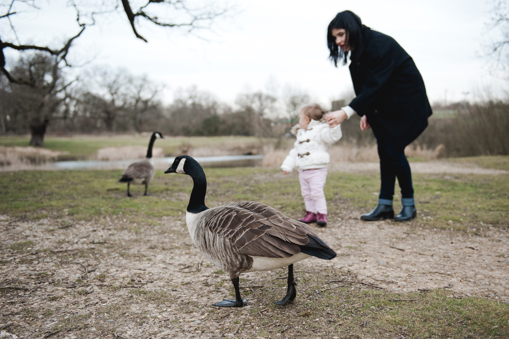 ВЕЧЕР У ОЗЕРА