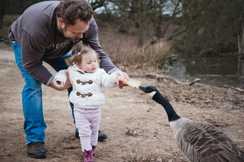 ВЕЧЕР У ОЗЕРА