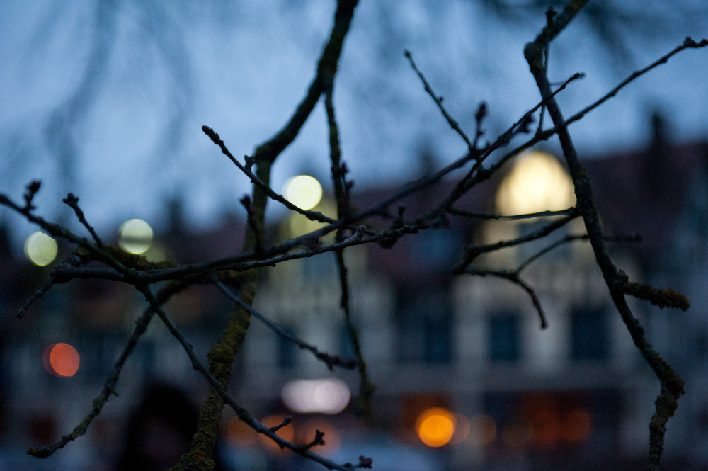 ВЕЧЕР У ОЗЕРА