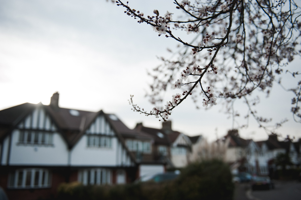 ВЕЧЕР У ОЗЕРА