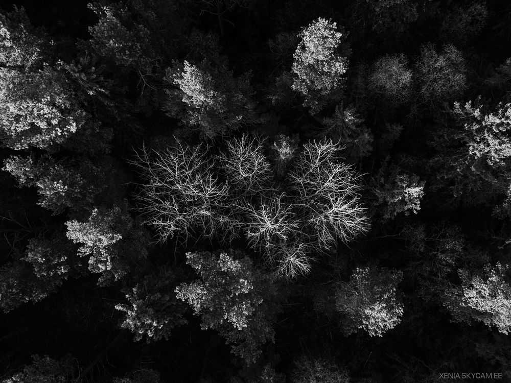 Landscapes
