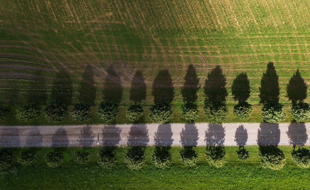 Landscapes