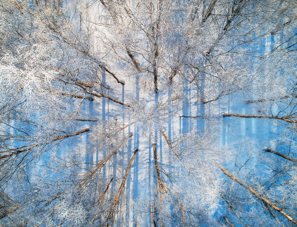 Landscapes