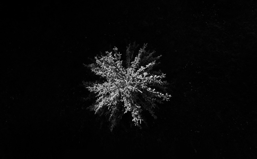 aerofotograaf aerofoto droonifoto
