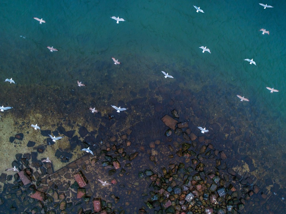 Aerofotograafia