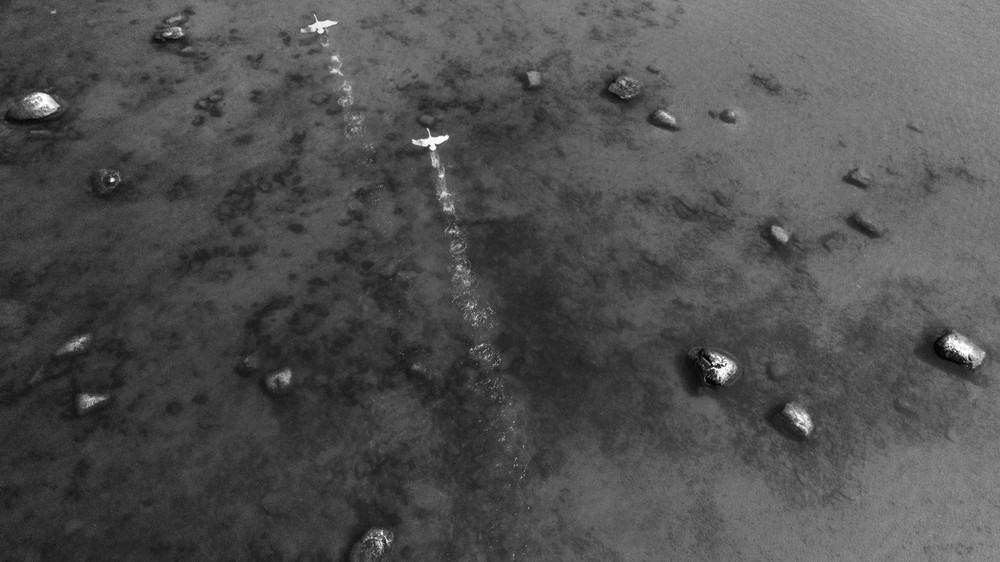 Aerofotograafia