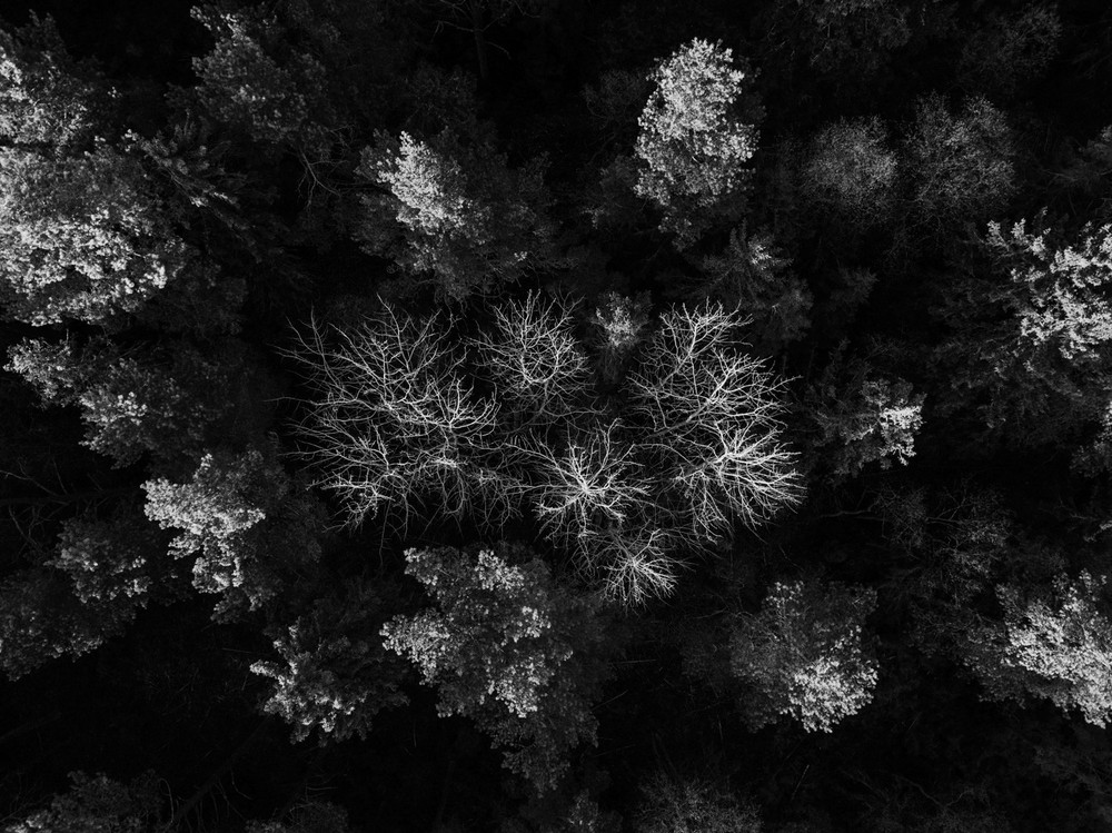 aerofotograaf aerofoto droonifoto