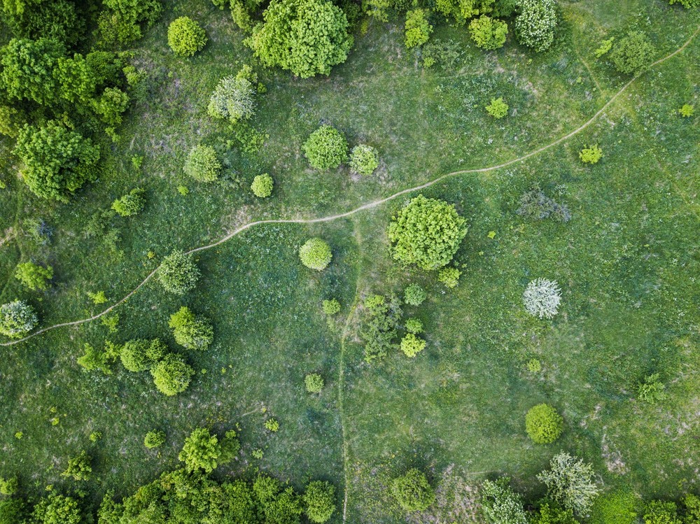 Aerofotograafia