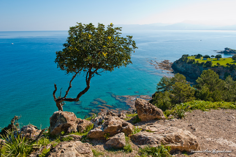 Cyprus