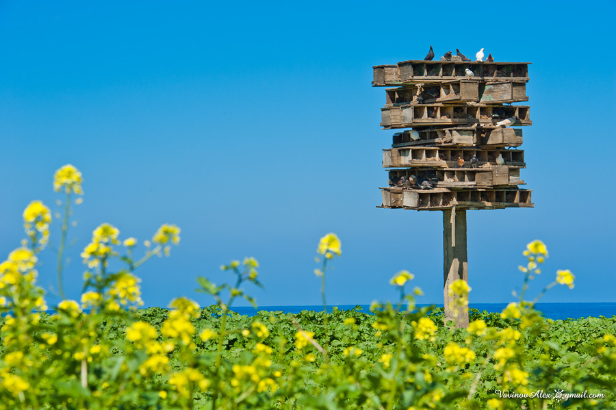 Cyprus
