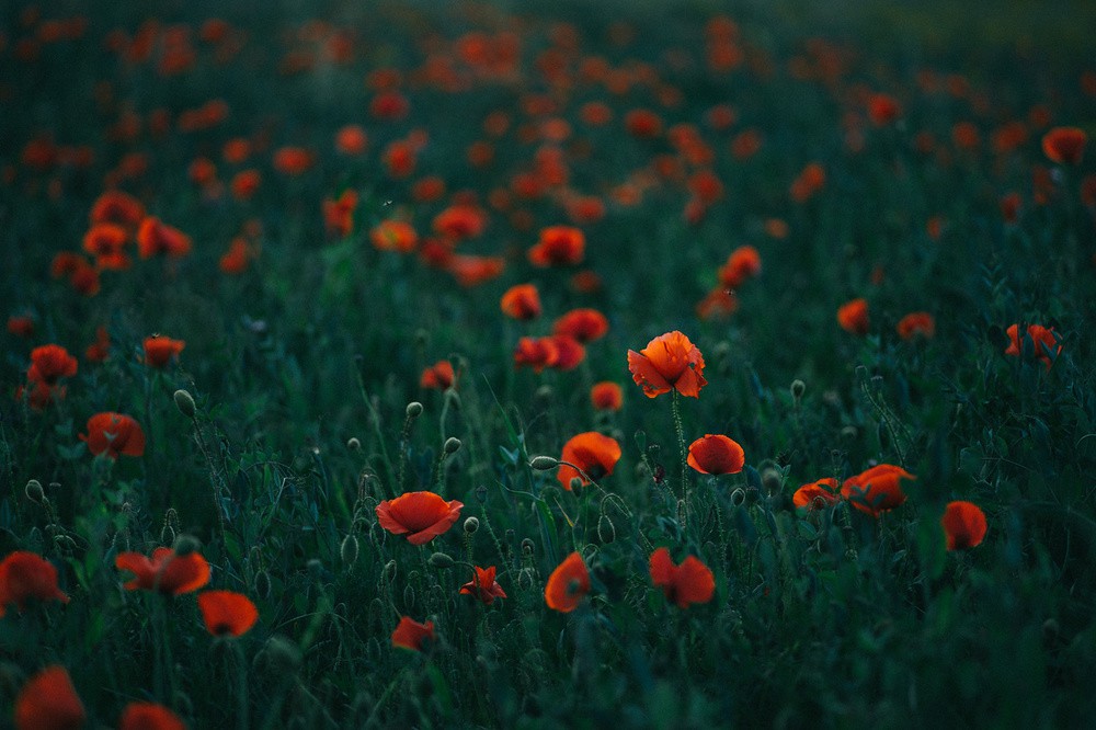 Cyprus