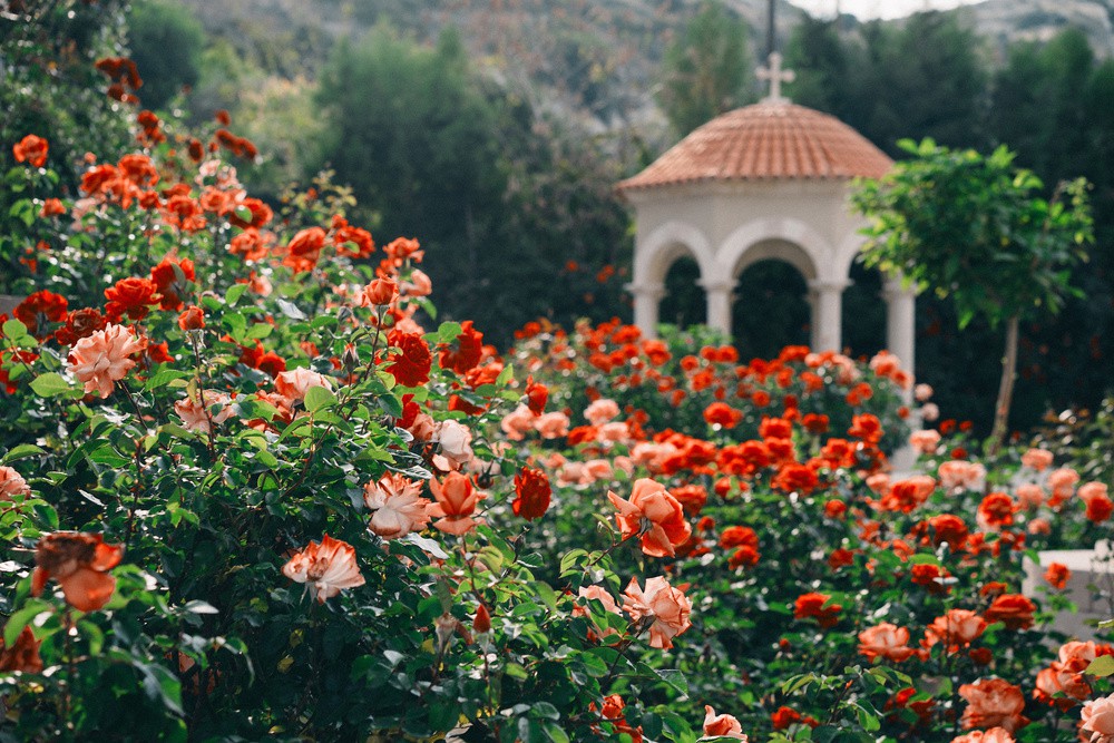 Cyprus