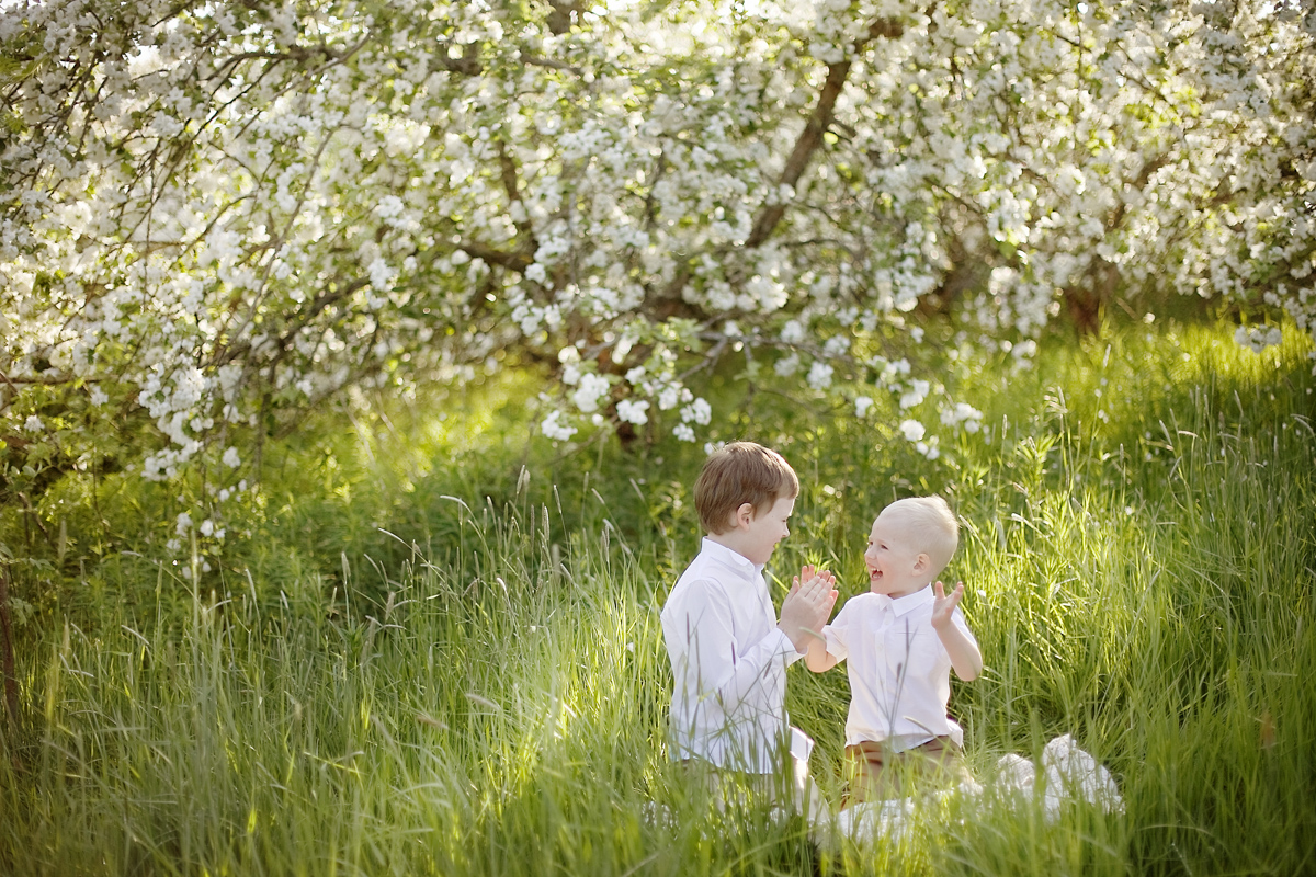 Фото в цветущих яблонях с детьми