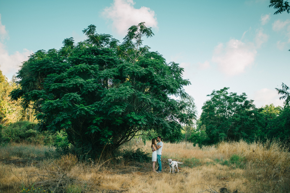 NATALI + TZAHI (ENGAGEMENT)
