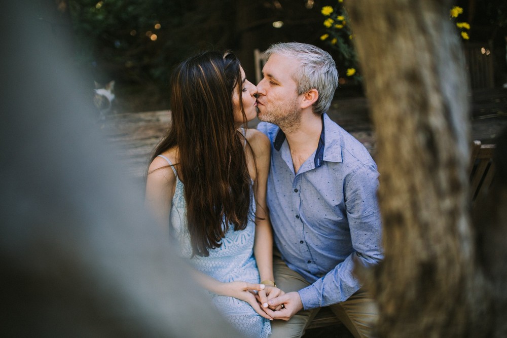 DANA + DAN