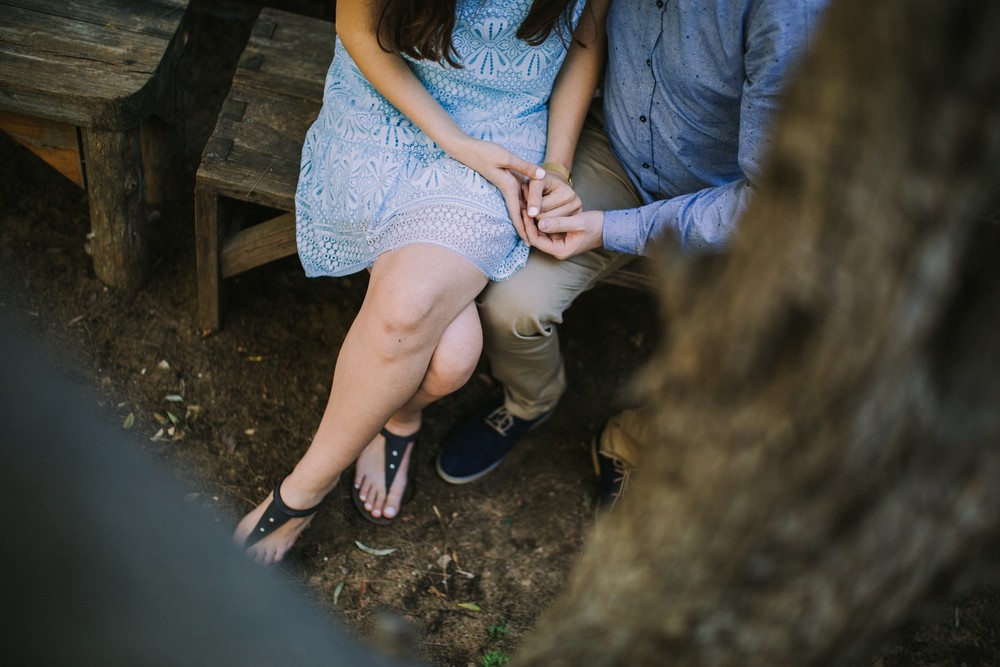 DANA + DAN