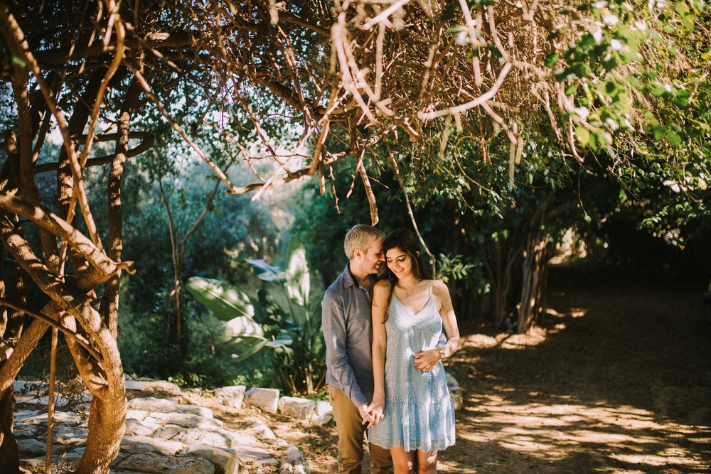 DANA + DAN