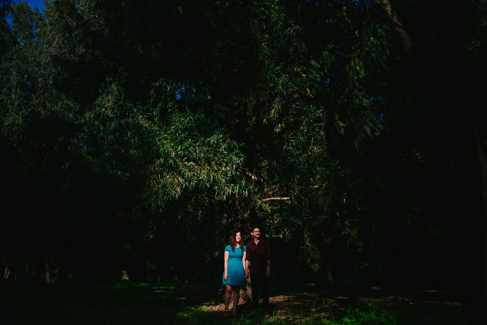 Liron + Haim