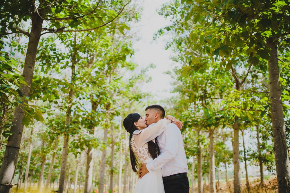 DIANA + MATAN