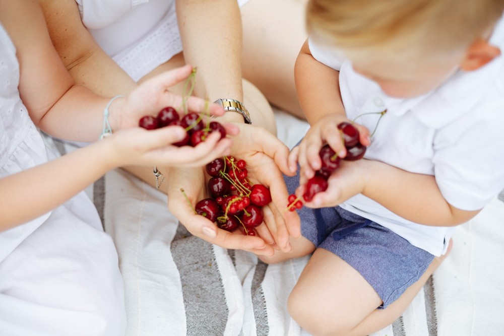 Family picnic(Plzen)