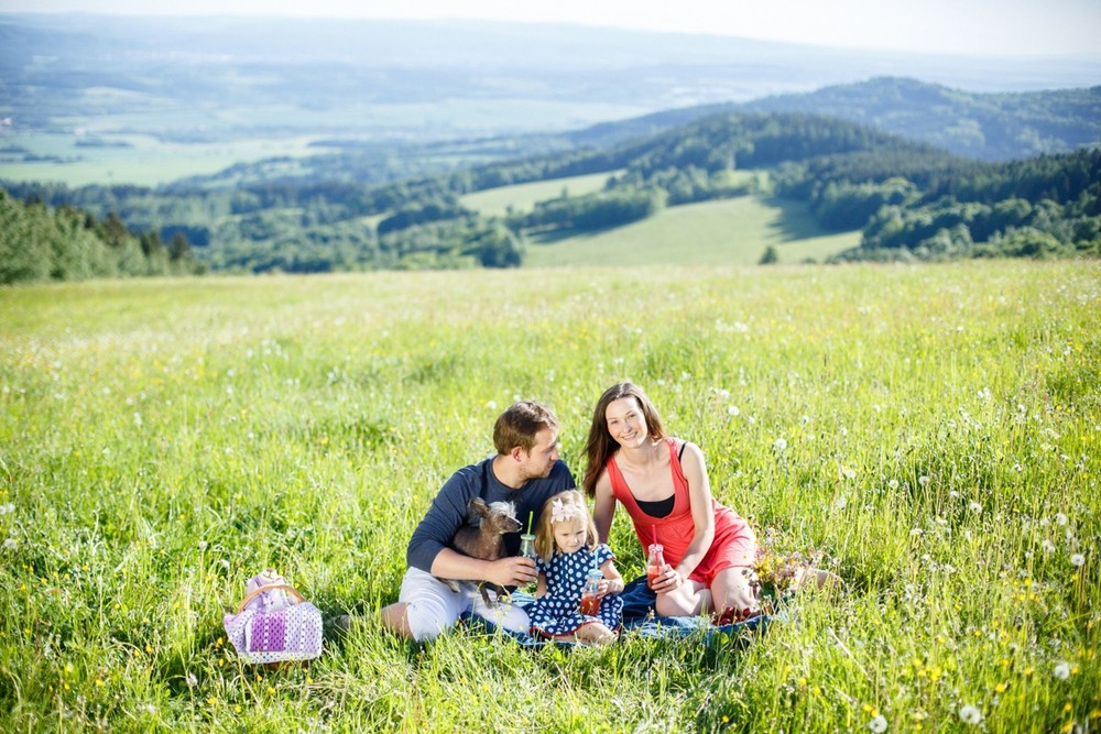 Barbora,David,Emma